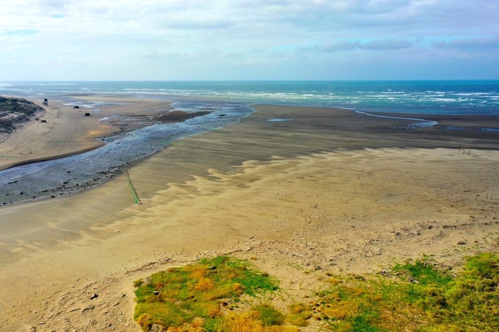 DJI_0485 許厝港濕地.jpeg